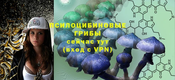 прущие грибы Бердск